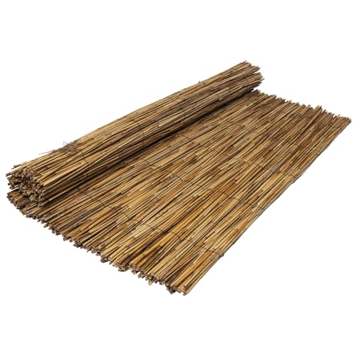 WERKA PRO, Canisse en roseau naturel pour brise-vue et occultation, idéale pour préserver votre...