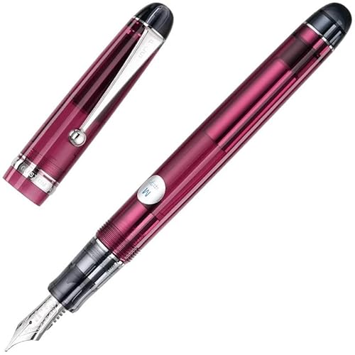 KDEGK Transparent Fountain Pen with 14k Gold Nib – Ideal Business and Office Gift for Men Women Pen(02,FM)