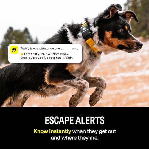 Fi FC3 Series 3 Smart Dog Collar - Gps Dog Tracker And Activity & Fitness Monitor thumb #2