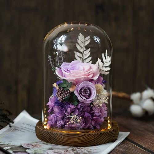 Sariny vU[uht[    [Y KN JXh[ AWg ~ ybg dp ~ ފ (E)