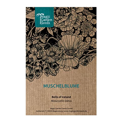 Muschelblume/Glocken von Irland (Moluccella laevis) - ca. 70 Samen der dekorativen Schnittblume/Trockenblume/einjährige Sommerblume für den Garten/Steingarten Muschelblume/Glocken von Irland (Moluccella laevis) - ca. 70 Samen der dekorativen Schnittblume/Trockenblume/einjährige Sommerblume für den Garten/Steingarten