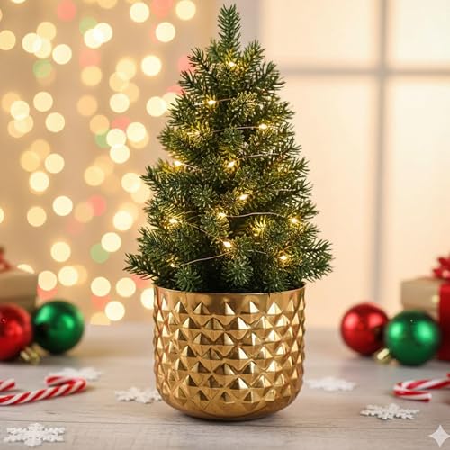 BEHOMA Metal Indoor Pineapple Texture Golden Planter, Modern Plant Pot for Living Room Balcony Office Decor Ideal Gifting for Birthday, Anniversary, Size H- 5" x Dia. 6" inch (Plants not Included)