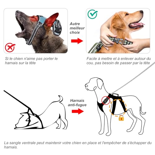 HEELE Hundegeschirr, Ausbruchsicher, Schnalle im Halsbereich, Reflektierend, Brustgeschirr mit Robuster Griff, Panikgeschirr Hund, Hundegeschirr Stabilen Eindruck, Passt wie Angegossen, Grün, S