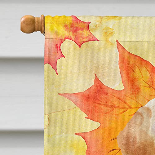 Grand drapeau en toile canvas labrador jaune impression multicolore - 4