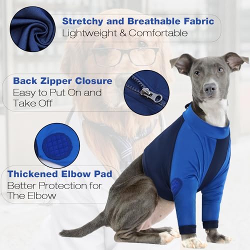Coudières pour protéger les articulations du chien et manchon avant
