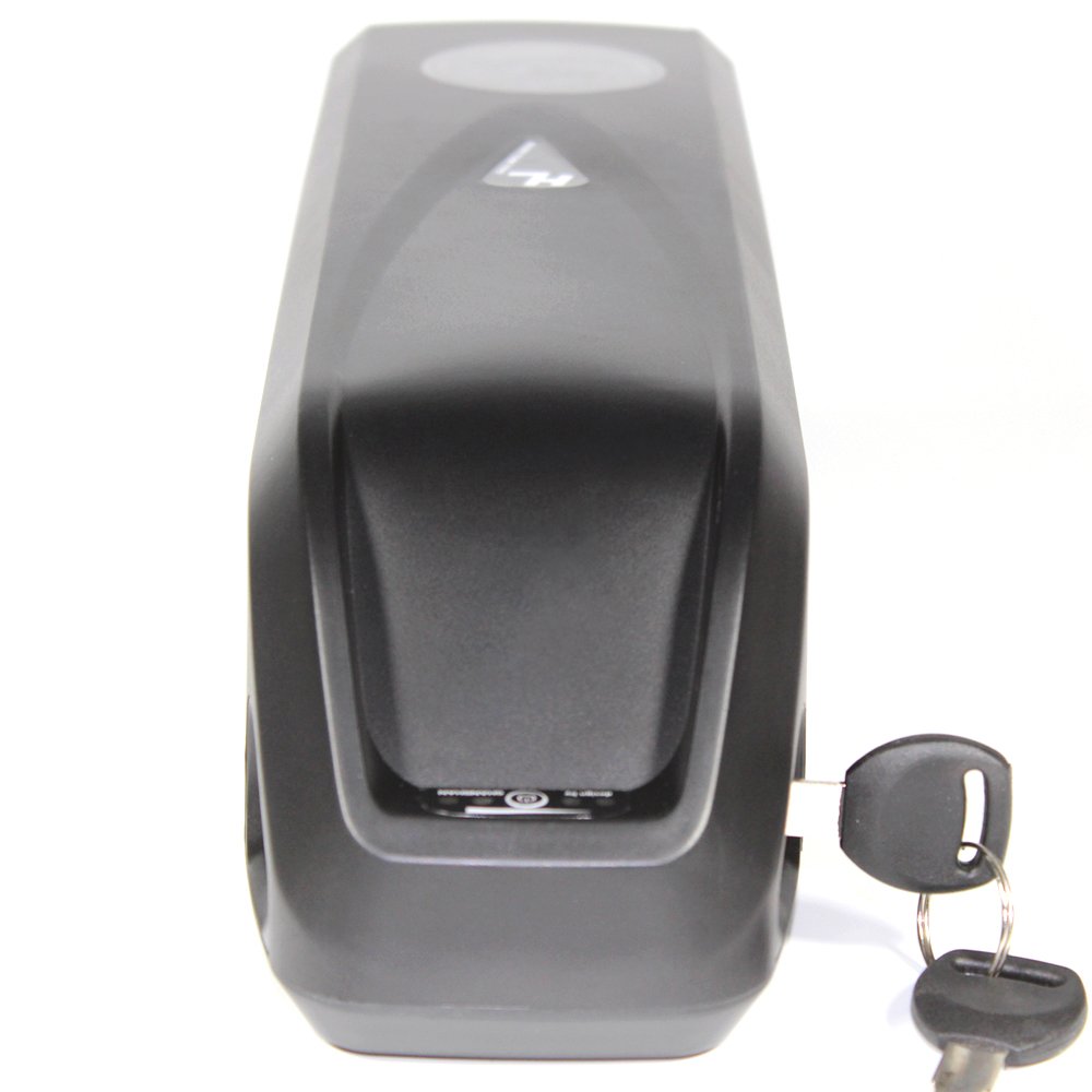 48V 8AH Ebike Lithium ion Battery 48V 500W Electric bicycle Scooter Battery Dolphin Power