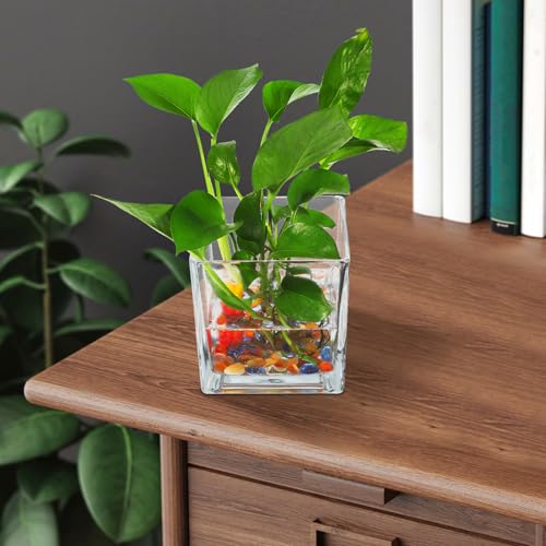 Jarrón de vidrio cúbico resistente y moderno para flores HANABASS 6