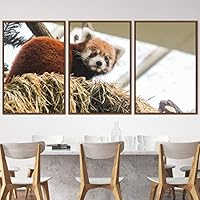 3 Piece Framed Canvas Wall Art Firefox Rustic Urban Canvas Prints Home Artwork Decoration for Living Room,Bedroom - 16