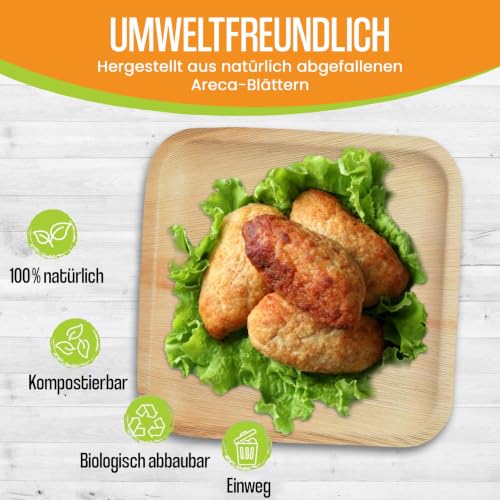 Raj Palmblatt Teller [250-Stuck] - 25 cm Quadratische | Umweltfreundliche – Ansicht 5