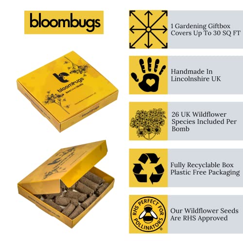 Handmade Wildflower Seed Bombs for Bees & Butterflies - 26 UK Species - Image 4