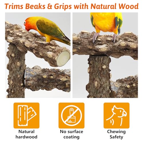 Image of BNOSDM Portable Bird Perch Stand with Potty Tray, Natural Wood Tabletop Training Gym Parrot Playground Toy for Budgies, Cockatiels, Lovebirds,Conures Canaries
