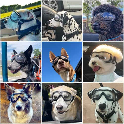 Esshogo Hundebrille Sonnenbrille, Große Hunde Hundeschutzbrille, UV-Schutzbrille, Einstellbar Hunde Sonnenbrille, Hundebrille für mittelgroße und kleine, Motorradbrille transparente Einstellbar