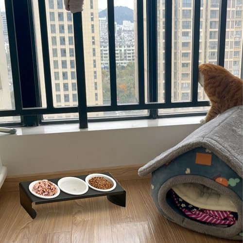 3 in 1 Katzennapf Erhöht Set Keramik Futternapf mit Metall Ständer 15° Gekippte Futterstation Pet Fressnapf Katzennäpfe Hundenapf Wassernapf