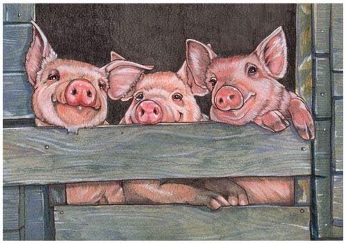 Pig Note Cards Set of 10 cards & 10 envelopes