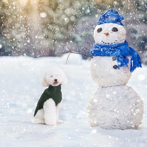 Image of BINGPET Dog Sweater for Small Dogs, Turtleneck Knitted Clothes