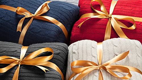 Chanasya Red Soft Cable Knit Throw Blanket - Fluffy Sherpa Plush Thick Warm Lightweight Cozy Modern Knitted Blankets - For Sofa Couch Living Room And Bed Room (50X65 Inches) - Red #TOP2