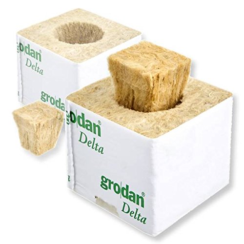 Atami Kit Lana di Roccia Cubi da 7,5cm e 4x4cm x 30 Pezzi Ciascuno