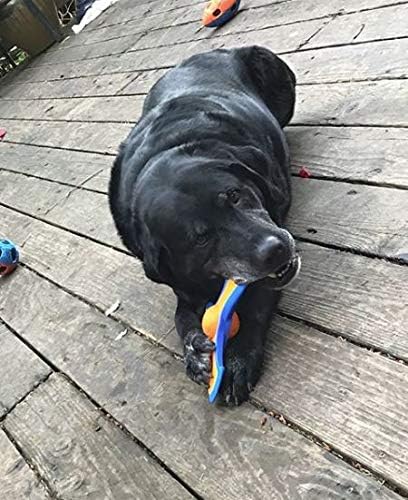 Nerf Dog Tri-Flyer Dog Toy, Flying Disc, Lightweight, Durable and Water Resistant, Great for Beach and Pool, 9 inches, for Medium/Large Breeds, Single Unit, Blue and Orange