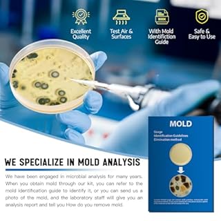 Mold Test Kit for Home -DIY Mold Testing Kit with 6 Individual Tests-Black Mold Detector-Indoor Air Quality Tester-Mold Identification Guide-Free Lab Analysis-Fast and Reliable Mold Detector at Home