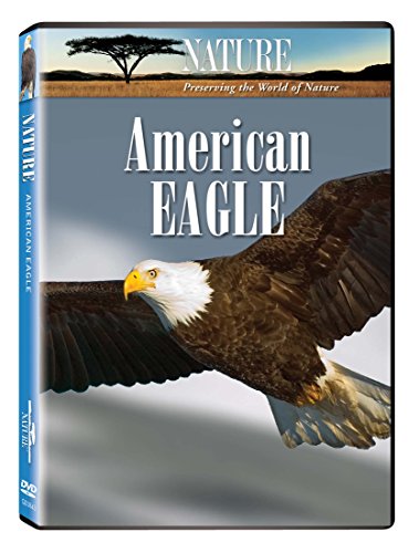 Nature: American Eagle