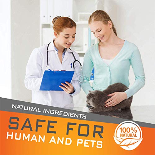 GROTAUS Flea and Tick Collar for Cats Safe and Effective Flea and