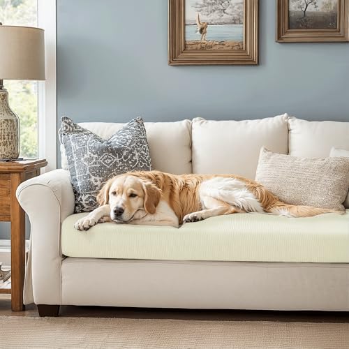 Image of Chunyi Jacquard Polyester Spandex Cushion Slipcover (Sofa Cushion, Ivory White)