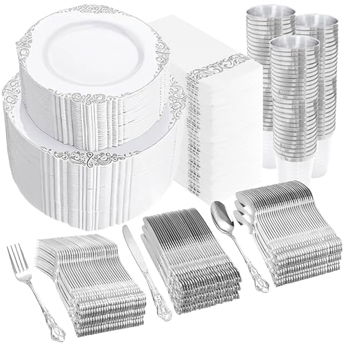 YOUBET 700PCS Silver Plastic Plates
