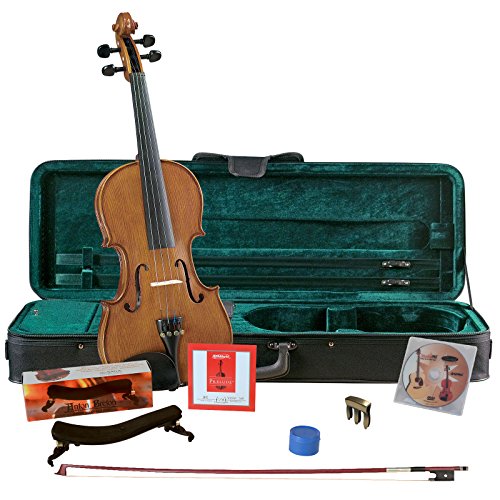 Top 3 Mejores Marcas De Violines. Opiniones, Guía De Compra 2022