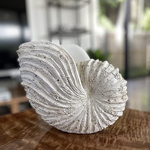 Huey House Nautilus Shell Sculpture - Replica Beach Themed Ocean Decor for Home - Rustic White Resin 10¼" x 6" x 8" Crafted Coastal Seashell Shelf Decor Gift-Boxed - Image 5