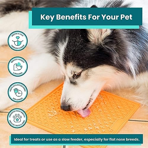 Procyon Hundebedarf Indus2 Licki Mat Buddy Large, Leckerlimatte, Treat Mat, Einheitsgröße, Farblig Sortiert: Grün oder Orange, 1 Stück (1er Pack)