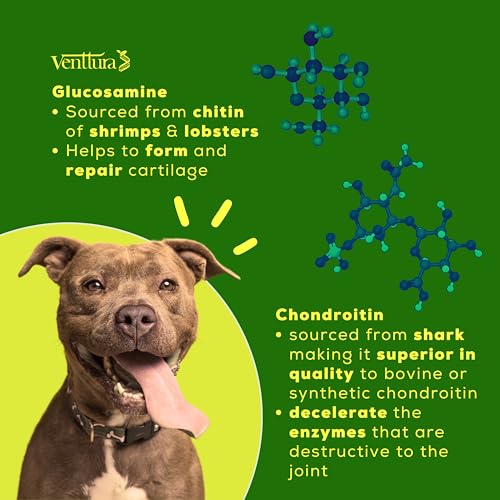 Image of Inhancer Supplement for Dogs | Hip and Joint Supplement | Bone Health Supplement Dog | (340gm)