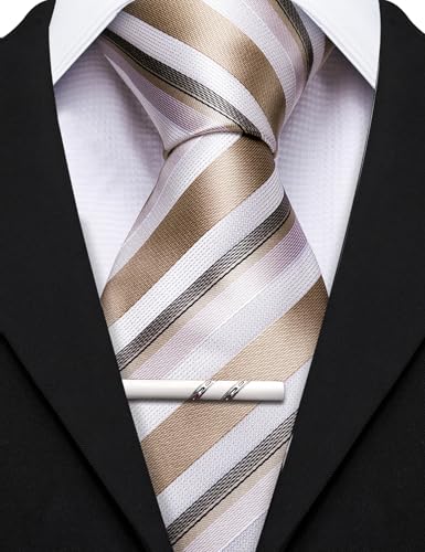Image of Barry.Wang Mens 6 PCS Ties Silk Striped Paisley Check Floral Necktie Silky Woven Wedding Business Party Ties 3.34 inch