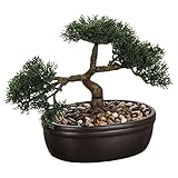 Bonsai Pot Ceramique H.23cm Bonsai Pot Ceramique H.23cm by Atmosphera