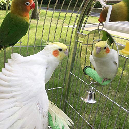 Hypeety Brinquedo de espelho de pássaro para animais de estimação com sinos para pendurar periquito,