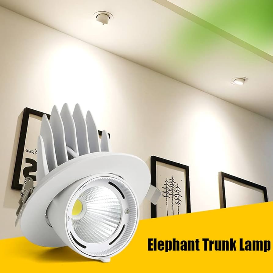 ビッグサイズ DO!LUCK ソウルキャリバー アイヴィー 1/4 Amazon.com: ZXXHNNAIH Recessed Gimbal Downlight Rotatable