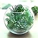 FEPITO 16 Pcs Random Size Artificial Succulent Plants Unpotted Succulents Picks Faux Succulent Plant in Green Stems for Home Indoor Garden Decoration
