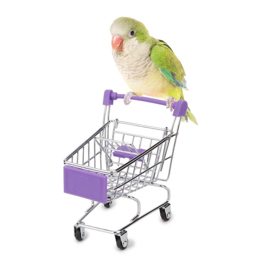Hypeety Bird Toys Mini Shopping Handcart Trolley Parrot Intelligence Training and Playing Toy for Parakeets Budgies Cockatiel Conures Caique Quaker
