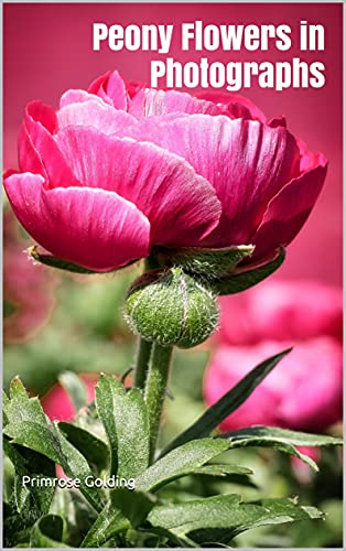 Amazon Co Jp Peony Flowers In Photographs English Edition 電子書籍 Golding Primrose 洋書