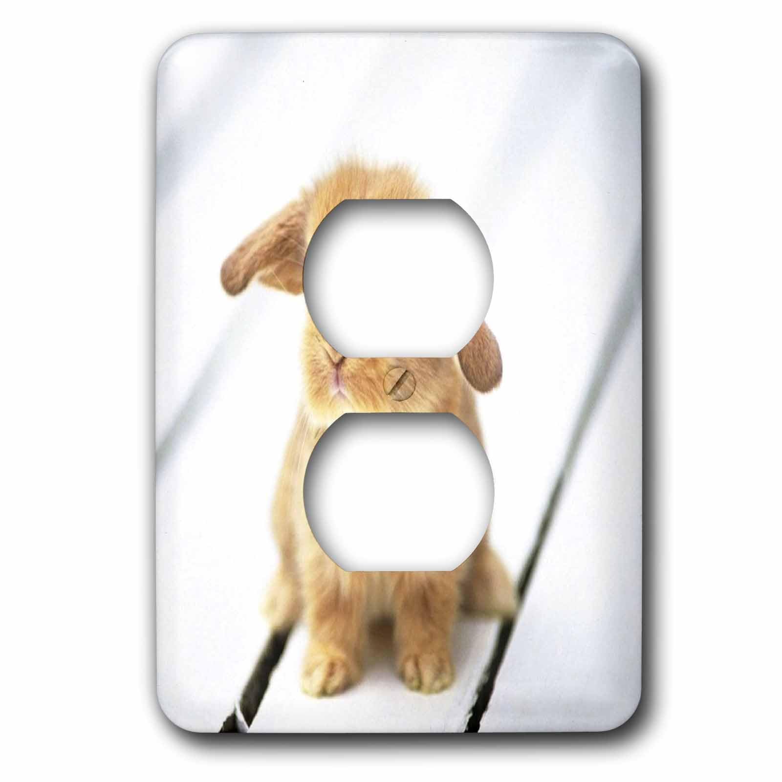Lapin Barbara lapin 2 prises plaque de prise murale 3dRose lsp_55173_6