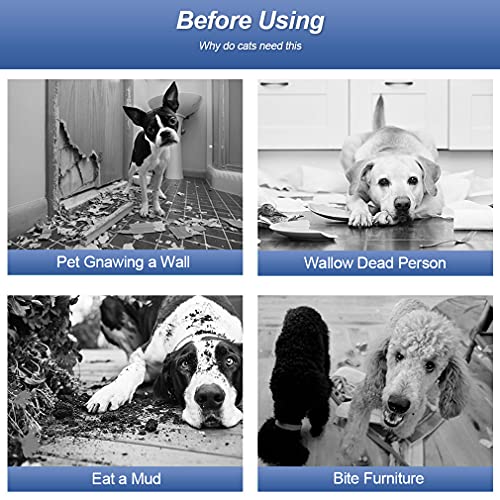 image for BestPet | Dog Playpen | 40 Inch, 32 Panels | Heavy Duty Metal Pet Exer