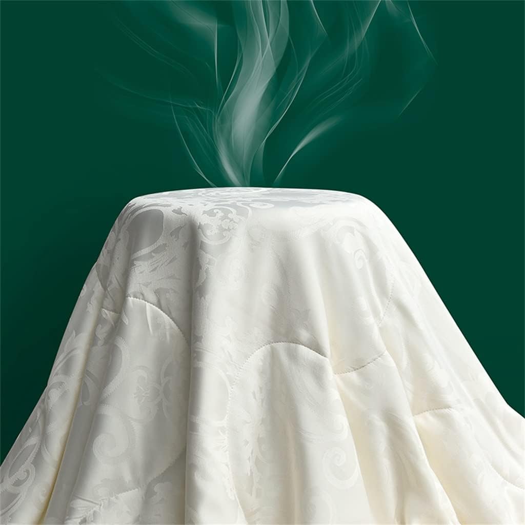 Silk Comforter Silk Duvet Silk Quilt Natural Silk Bedding Cool Blanket for Machine Washable(220 * 240CM)