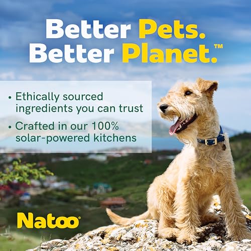 Image of NATOO Natural Dog Biscuits for Small Dogs, Grain-Free Peanut Butter