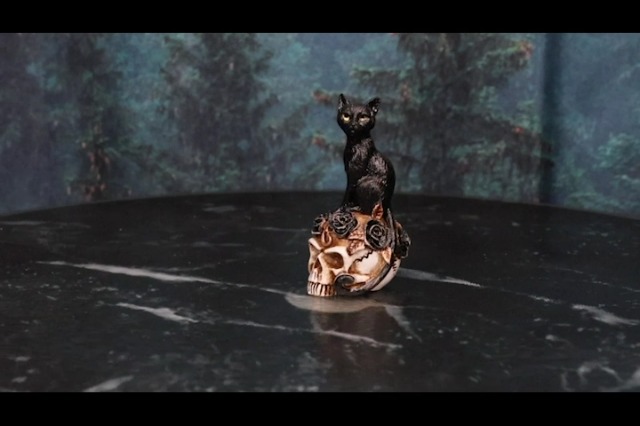 Amazon.com: Ebros Cat Witching Hour Witchcraft Black Feline