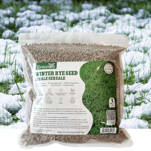 Groundio Winter Rye Seeds, 3lbs Non-GMO Cover Crop...