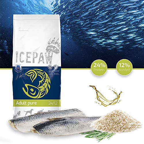 ICEPAW I Adult Pure I 14 kg I High Premium Trockenfutter I für Erwachsene Hunde I mit Fisch (Hering) und Reis I glutenfrei