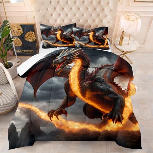 AUCOOMA Flying Dragon Print Design Comforter Set Queen,Comforter with 2 Pillowcases,Flying Dragon Print Design Comforter,All Season Use Bedding Set for Kids Boys Teens