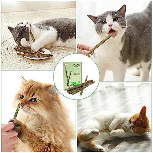 OSDUE 12 Stück Katzenminze Sticks, Matatabi-Kausticks, Katzenminze Spielzeug Katzen Kauhölzer Sticks für Katzen Zahnpflege & Gegen Mundgeruch Natürlich Sicher Katzensticks Kausticks Set