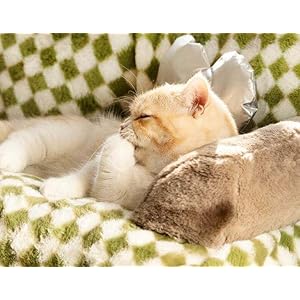   Pet-Bed-for-Small-and-Medium-Cats-and-Dogs-Washable-Puppy-Sleeping-Bed-Cat-Sofa-Pet-Sofa-Bed-Soft-Calming-Cat-Sofa-Bed-Non-Slip-Bottom-for-Indoor-Cats-White