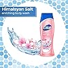 Dial Skin Therapy Body Wash, Himalayan Salt, 21 fl oz (Pack of 4)