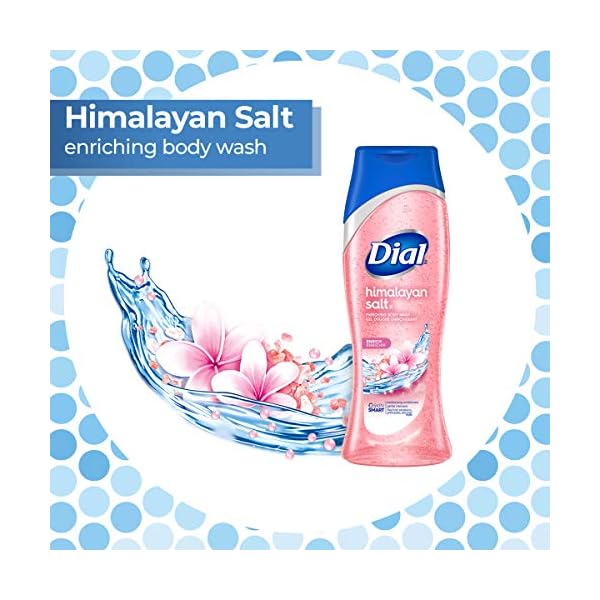 Dial Skin Therapy Body Wash, Himalayan Salt, 21 fl oz (Pack of 4)